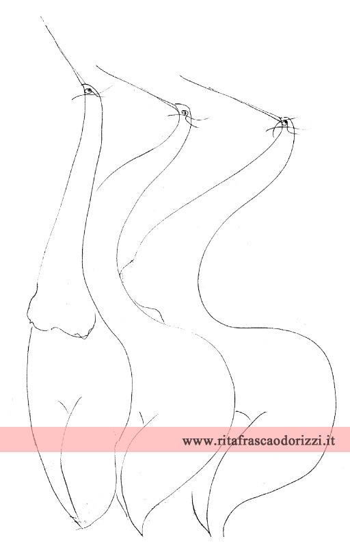 illustrazione_disegno_donne_uccello_Rita_Frasca_Odorizzi