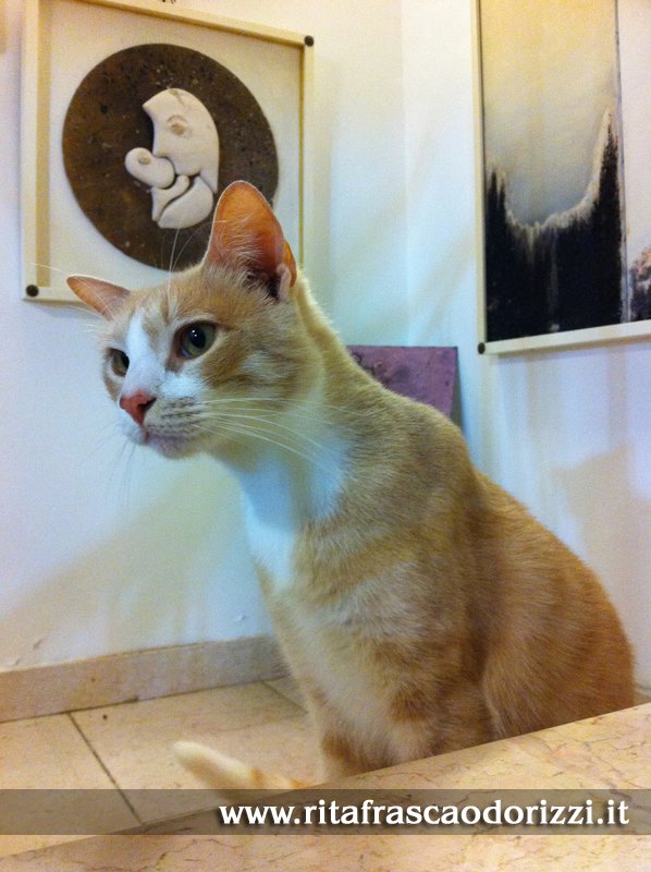 arte_e_gatti_pittrice_rita_frasca_odorizzi
