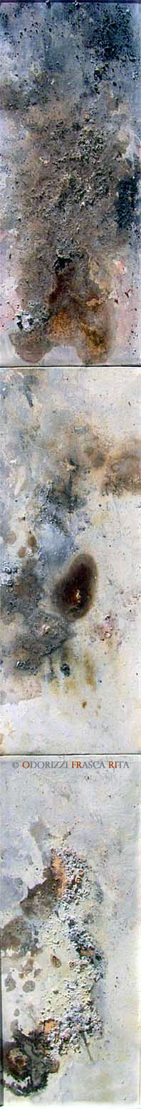 dipinto_a_olio_ofri_serie_sostanza_di_universo_humus_di_pianeta