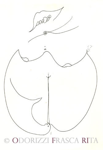 ofri_serie_alfabeto_dell_intero_2005_corpo_2