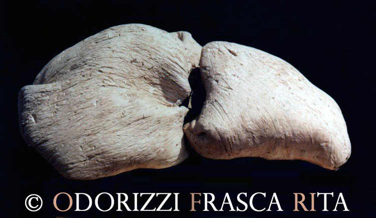 scultura_contemporanea_ceramica_ofri_serie_sassi_titolo_rapporti_2_1990