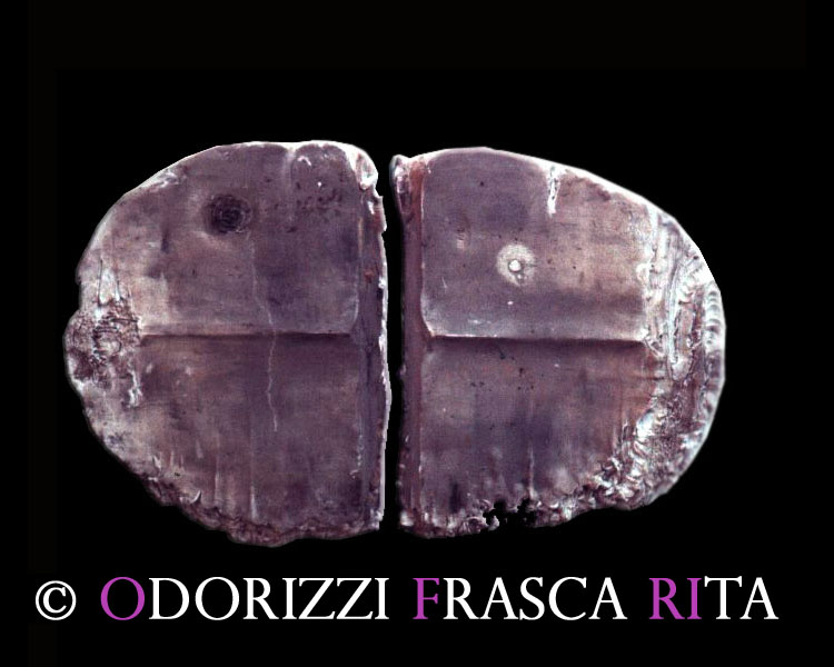 scultura_contemporanea_ofri_serie_mondi_3_1990