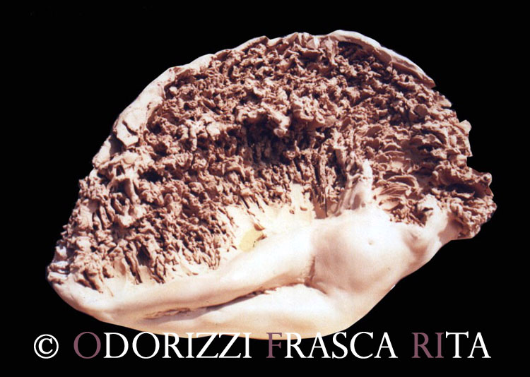 scultura_contemporanea_ofri_serie_radici_titolo_quattro_stagioni_estate_1990