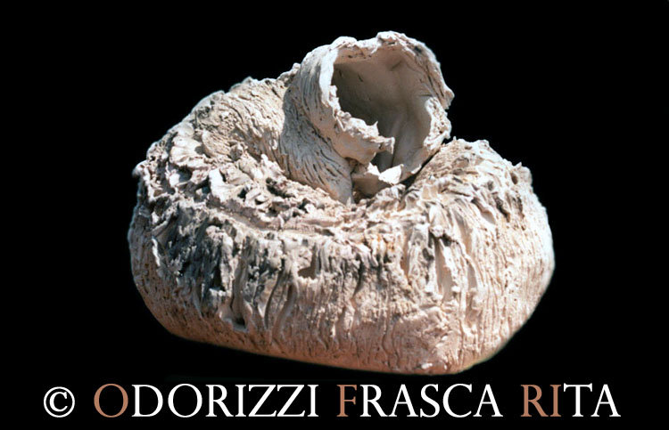 scultura_contemporanea_ofri_serie_sassi_particolare_metamorfosi_lumaca_1990