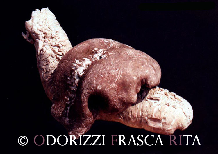 scultura_contemporanea_ofri_serie_sassi_particolare_stadio_lumaca1990