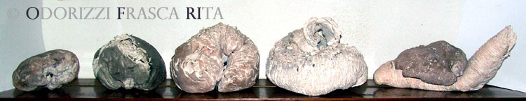 scultura_contemporanea_ofri_serie_sassi_titiolo_metamorfosi_di_una_lumaca_1990