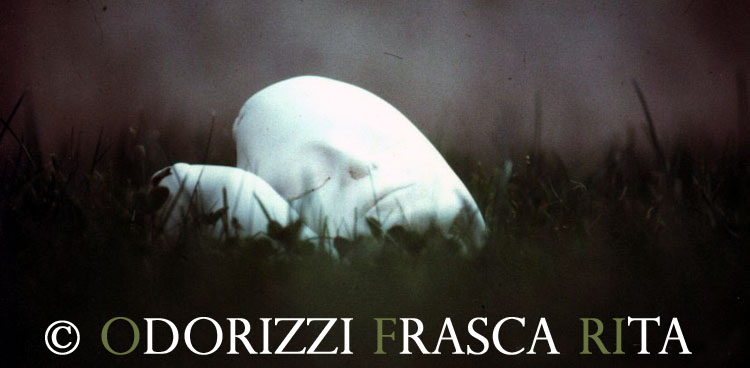 scultura_contemporanea_ofri_serie_sassi_titolo_sasso_che_dorme