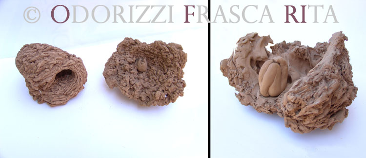 scultura_contemporanea_ofri_serie_semi_e_radici_titolo_donna_seme_1990