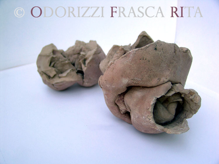 scultura_contemporanea_ofri_serie_semi_titolo_semi_scoppiati_1990