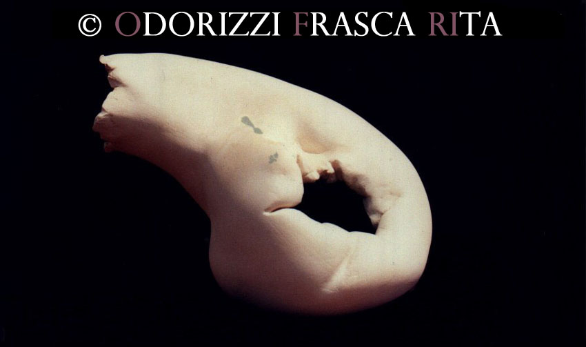 scultura_contemporanea_ofri_serie_semi_titolo_utero_scoppiato_1990